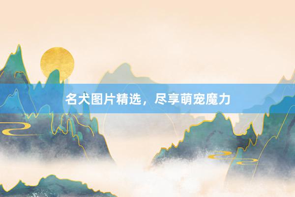 名犬图片精选，尽享萌宠魔力