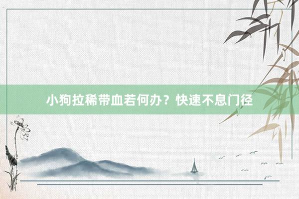 小狗拉稀带血若何办？快速不息门径