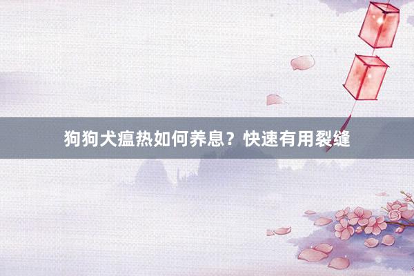 狗狗犬瘟热如何养息？快速有用裂缝