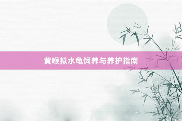 黄喉拟水龟饲养与养护指南