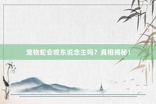 宠物蛇会咬东说念主吗？真相揭秘！