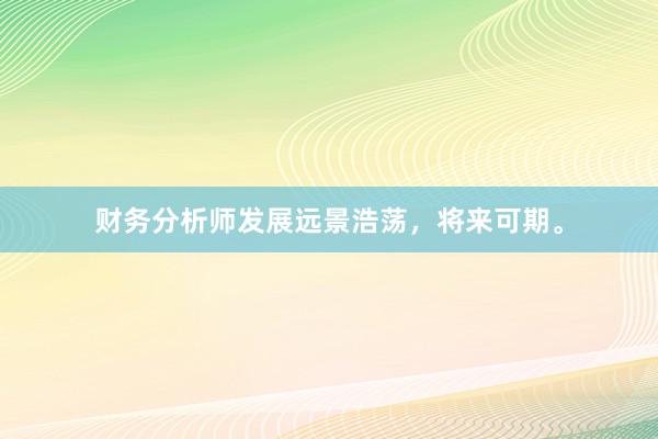财务分析师发展远景浩荡，将来可期。